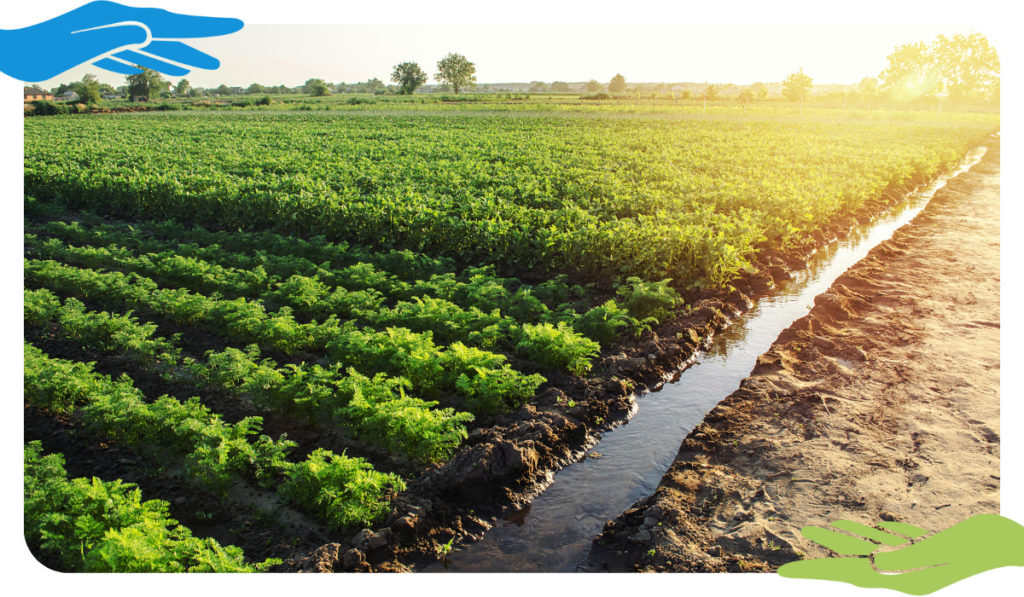 La agricultura, su efecto sobre el suelo y la huella de carbono